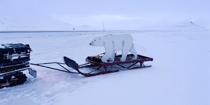 Ifølge VisitSvalbard er der omkring 3000 isbjørne på Svalbard og i området omkring, hvilket overstiger antallet af mennesker i området. Skydetræning indgår derfor i sikkerhedskurset. Foto: Celine Marie Solberg